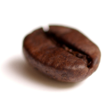 Kava kenkia.jpg